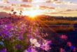 دعا-برای-درمان-مریضی-بچه-110x75 شفای بیماری 