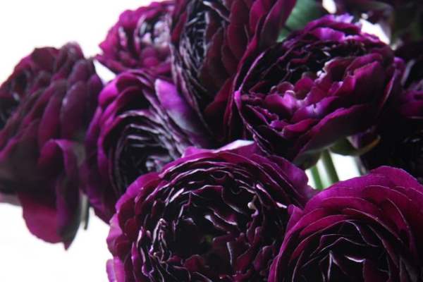 دعای-سلامتی-در-سفر دعا دعای رفع بلا 