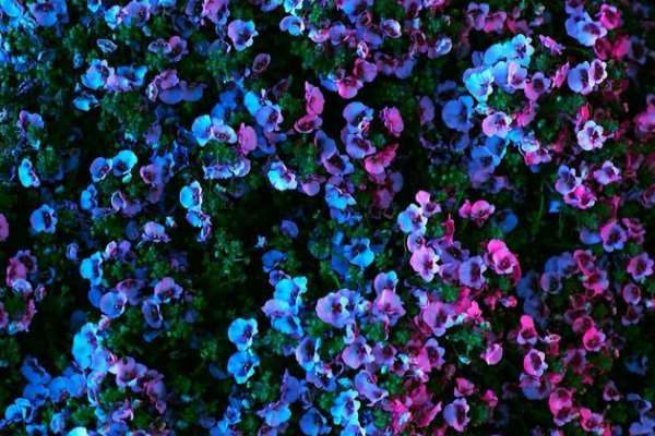 دعای-محبت-با-مواد-غذایی مهر و محبت 