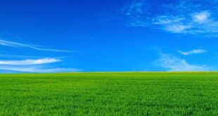 دعا-برای-عدم-خیانت-شوهر-310x165 مهر و محبت 