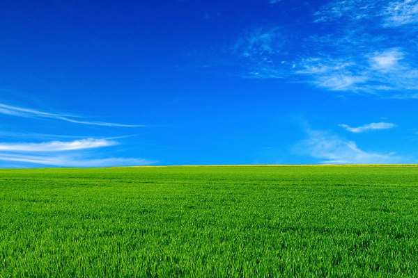 دعا-برای-عدم-خیانت-شوهر مهر و محبت 