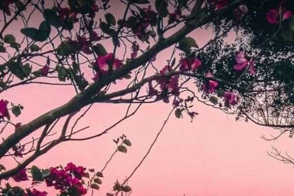 دعای-رفع-مشکل-مالی دعای رفع مشکلات و گرفتاری 