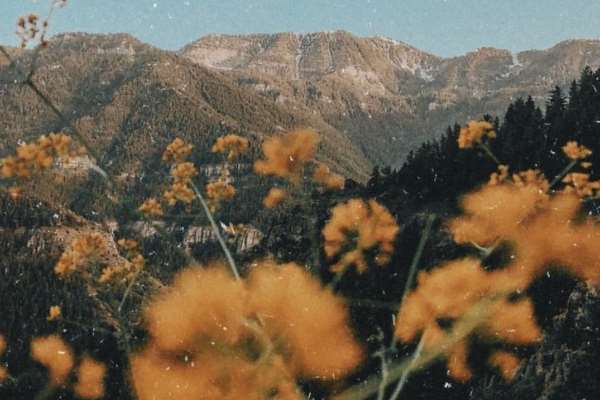طلسم-کسب-ثروت رزق و روزی 