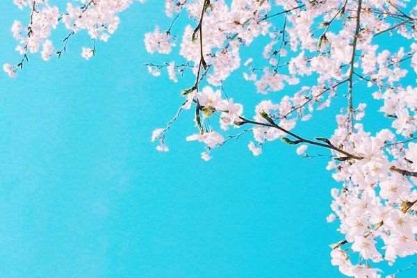 دعای-رفع-مشکلات-بزرگ دعای رفع مشکلات و گرفتاری 