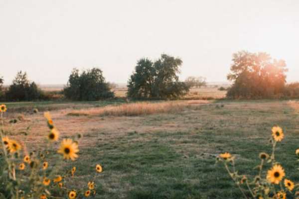 دعای-عاشق-شدن-مجرب مهر و محبت 