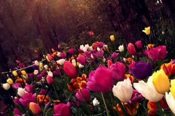 دعای-بخشش-گناهان-مجرب حرز مجرب 