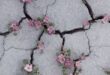 دعای-شفای-مرض-110x75 شفای بیماری 