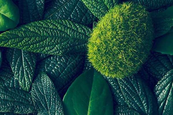 دعای-فوری-برای-لکنت-بچه دعای شفای بیماری شفای بیماری 