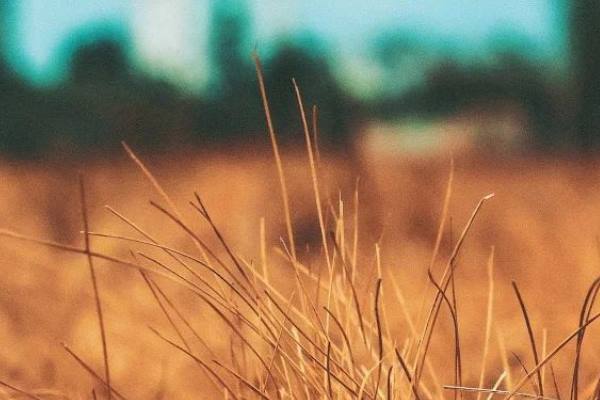 دعا-های-دفع-سختی-بلا دعای رفع بلا دعای رفع غم و ناراحتی 