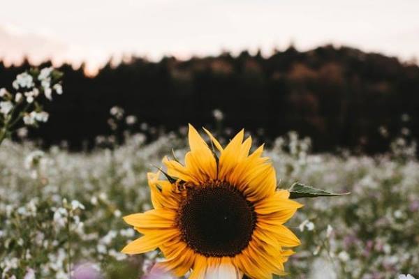 دعای-جلب-علاقه-و-محبت-دو-شخص مهر و محبت 