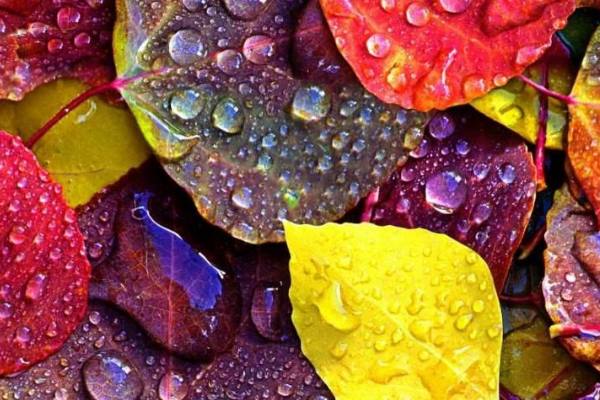 دعا + دستور ازدواج سریع و گشایش بخت فوری مجرب دعای-ازدواج-اسلامی بخت گشایی و ازدواج