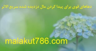 am5-156-310x165 ادعيه و اذكار دسته‌بندی نشده دعا متفرقه 