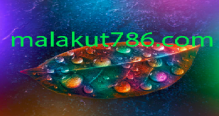 دعاهای-قوی-و-تجربه-شده-برای-بچه-دار-شدن-سریع-الاثر-310x165 ادعيه و اذكار دسته‌بندی نشده دعا دعا و ختم مجرب 