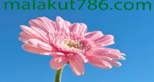 دعاهایی-قوی-و-مجرب-برای-ازدواج-فوری-و-بخت-گشایی-سریع-310x165 ادعيه و اذكار بخت گشایی و ازدواج دسته‌بندی نشده دعا دعا و ختم مجرب 