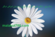 دعا-برای-تنگی-نفس-آسم-یا-آلرژی-و-درمان-امراض-دیگر--110x75 ادعيه و اذكار دسته‌بندی نشده دعا شفای بیماری متفرقه 