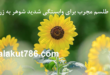 دعا-و-طلسم-مجرب-برای-وابستگی-شدید-شوهر-به-زن-خود-110x75 ادعيه و اذكار دسته‌بندی نشده دعا متفرقه مهر و محبت 