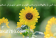 ذکر-جهت-انس-با-مخلوقات-و-تسخیر-قلوب-و-دعای-قوی-برای-تسخیر-قلب-110x75 ادعيه و اذكار دسته‌بندی نشده دعا متفرقه مهر و محبت 