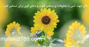 ذکر-جهت-انس-با-مخلوقات-و-تسخیر-قلوب-و-دعای-قوی-برای-تسخیر-قلب-310x165 ادعيه و اذكار دسته‌بندی نشده دعا متفرقه مهر و محبت 