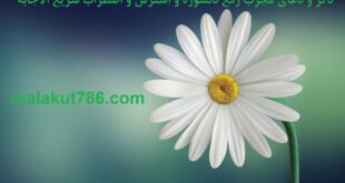 ذکر-و-دعای-مجرب-رفع-دلشوره-و-استرس-و-اضطراب-سریع-الاجابه-310x165 احاديث معصومين عليهم السلام ادعيه و اذكار دسته‌بندی نشده دعا دعای شفای بیماری متفرقه 