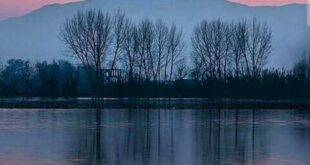 am5-254-310x165 ادعيه و اذكار دسته‌بندی نشده دعا دعای رفع بلا متفرقه 