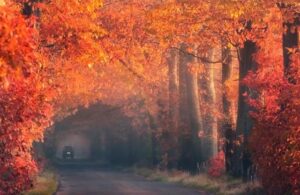 56F01747-A8EB-419A-91AF-977C2C4DB499-300x195 ادعيه و اذكار باطل السحر و چشم زخم دسته‌بندی نشده دعا و ختم مجرب 