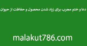 دعا-و-ختم-مجرب-برای-زیاد-شدن-محصول-و-حفاظت-از-حیوان-300x159 ادعيه و اذكار دسته‌بندی نشده دعا دعا و ختم مجرب متفرقه 