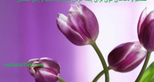طلسم-و-دعاهای-قوی-برای-پیدا-کردن-شغل-مناسب-و-رفع-مشکل-1-310x165 ادعيه و اذكار دسته‌بندی نشده دعا دعا و ختم مجرب دعای گشایش کار متفرقه 