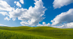 DSC00437-593913461f8c6__880-w700-310x165 ادعيه و اذكار دسته‌بندی نشده دعا دعا و ختم مجرب رزق و روزی متفرقه 