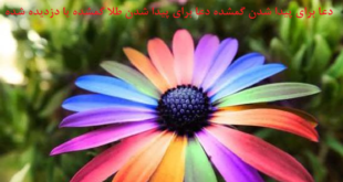 دعا-و-نماز-برای-پیدا-شدن-گمشده-دعا-برای-پیدا-شدن-طلا-گمشده-یا-دزدیده-شده-310x165 ادعيه و اذكار دسته‌بندی نشده دعا و ختم مجرب متفرقه 