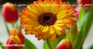 دعاهای-قوی-برای-بیقراری-شدید-معشوق-و-بازگشت-سریع-معشوق-یا-دوست-پسر-310x165 ادعيه و اذكار دسته‌بندی نشده دعا دعا و ختم مجرب متفرقه مهر و محبت 