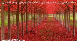 دعاهای-قوی-برای-شفای-بیماران-از-امام-رضا-و-درمان-دردها-تضمینی-1-310x165 ادعيه و اذكار دسته‌بندی نشده دعا دعا و ختم مجرب شفای بیماری متفرقه 