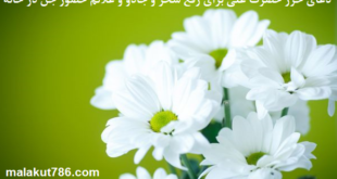 دعای-حرز-حضرت-علی-برای-رفع-سحر-و-جادو-و-علائم-حضور-جن-در-خانه-1-310x165 ادعيه و اذكار دسته‌بندی نشده دعا دعا و ختم مجرب متفرقه 