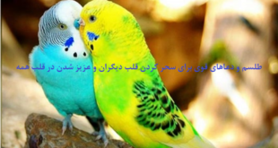 طلسم-و-دعاهای-قوی-برای-سحر-کردن-قلب-دیگران-و-عزیز-شدن-در-قلب-همه-1-310x165 ادعيه و اذكار دسته‌بندی نشده دعا دعا و ختم مجرب متفرقه مهر و محبت 