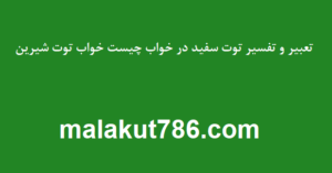 تعبیر-و-تفسیر-توت-سفید-در-خواب-چیست-خواب-توت-شیرین-300x157 تعبیر خواب دسته‌بندی نشده متفرقه 