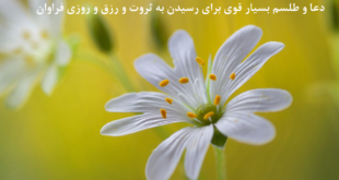 دعا-و-طلسم-بسیار-قوی-برای-رسیدن-به-ثروت-و-رزق-و-روزی-فراوان-1-310x165 ادعيه و اذكار دسته‌بندی نشده دعا دعا و ختم مجرب رزق و روزی متفرقه 