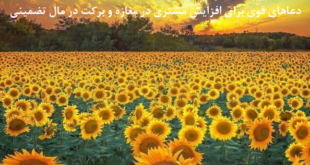 دعاهای-قوی-برای-افزایش-مشتری-در-مغازه-و-برکت-در-مال-تضمینی-1-310x165 ادعيه و اذكار دسته‌بندی نشده دعا دعا و ختم مجرب رزق و روزی متفرقه 