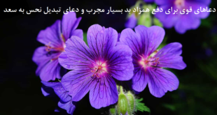 دعاهای-قوی-برای-دفع-همزاد-بد-بسیار-مجرب-و-دعای-تبدیل-نحس-به-سعد-1-310x165 ادعيه و اذكار دسته‌بندی نشده دعا دعا و ختم مجرب متفرقه 