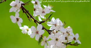دعا-و-طلسم-قوی-برای-جذب-مشتری-برای-کسب-و-کار-و-فروش-فوری-کالا-1-310x165 ادعيه و اذكار دسته‌بندی نشده دعا دعا و ختم مجرب رزق و روزی متفرقه 