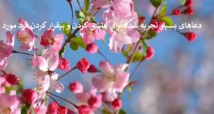 دعاهای-بسیار-تجربه-شده-برای-عاشق-کردن-و-بیقرار-کردن-فرد-مورد-1-310x165 ادعيه و اذكار دسته‌بندی نشده دعا دعا و ختم مجرب متفرقه مهر و محبت 
