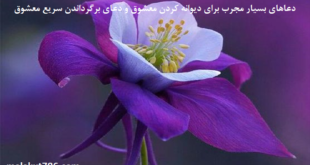 دعاهای-بسیار-مجرب-برای-دیوانه-کردن-معشوق-و-دعای-برگرداندن-سریع-معشوق-1-310x165 ادعيه و اذكار دسته‌بندی نشده دعا دعا و ختم مجرب متفرقه مهر و محبت 