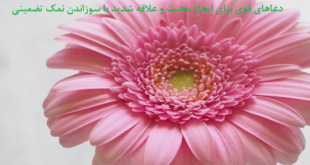دعاهای-قوی-برای-ایجاد-محبت-و-علاقه-شدید-با-سوزاندن-نمک-تضمینی-1-310x165 ادعيه و اذكار دسته‌بندی نشده دعا دعا و ختم مجرب متفرقه 
