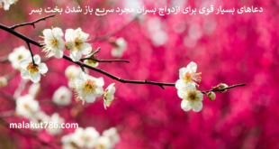 دعاهای-بسیار-قوی-برای-ازدواج-پسران-مجرد-سریع-باز-شدن-بخت-پسر-1-310x165 ادعيه و اذكار دعا دعا و ختم مجرب متفرقه 