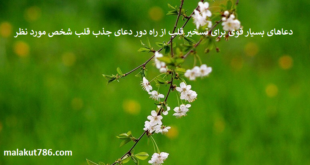 دعاهای-بسیار-قوی-برای-تسخیر-قلب-از-راه-دور-دعای-جذب-قلب-شخص-مورد-نظر-1-310x165 ادعيه و اذكار دعا دعا و ختم مجرب متفرقه 