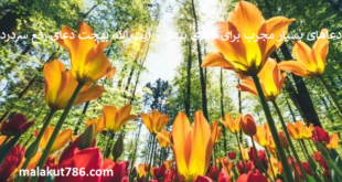 دعاهای-بسیار-مجرب-برای-شفای-بیمار-از-آیت-الله-بهجت-دعای-رفع-سردرد-1-310x165 ادعيه و اذكار دعا دعا و ختم مجرب شفای بیماری متفرقه 