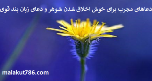دعاهای-مجرب-برای-خوش-اخلاق-شدن-شوهر-و-دعای-زبان-بند-قوی-1-310x165 ادعيه و اذكار دعا دعا و ختم مجرب متفرقه مهر و محبت 