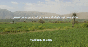 دعاهای-بسیار-قوی-برای-ایجاد-محبت-و-رفع-کدورت-بین-دو-نفر-تضمینی-1-310x165 ادعيه و اذكار دعا دعا و ختم مجرب متفرقه مهر و محبت 