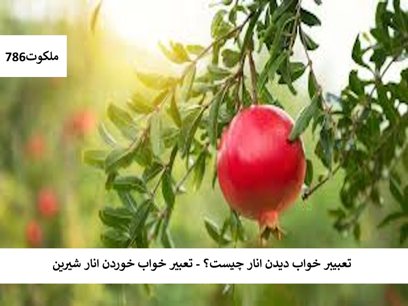تعبیر خواب دیدن انار چیست ؟ - تعبیر خواب خوردن انار شیرین انار تعبیر خواب