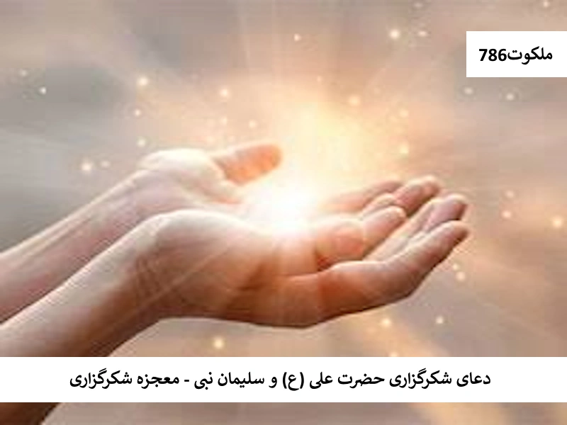 دعای شکرگزاری حضرت علی(ع) و سلیمان نبی - معجزه شکرگزاری شکر احاديث معصومين عليهم السلام ادعيه و اذكار دستورالعمل و نسخه مجرب دعا دعا و ختم مجرب دعای حاجت روایی