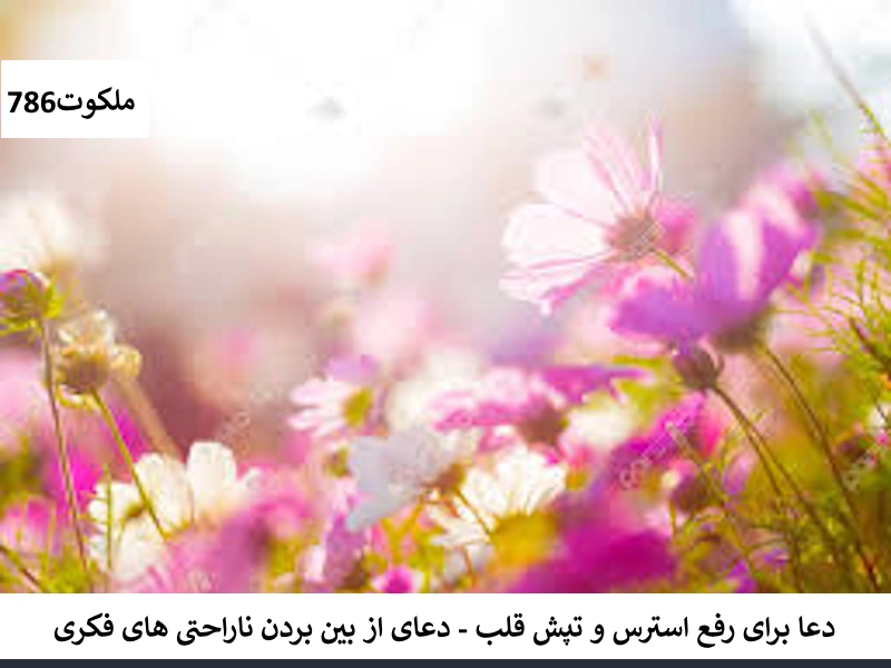 دعا برای رفع استرس و تپش قلب - دعای از بین بردن ناراحتی های فکری استرس احاديث معصومين عليهم السلام ادعيه و اذكار حرز پیامبر اکرم (ص) برای دفع جمیع بلا دستورالعمل و نسخه مجرب دعا دعا و ختم مجرب دعای حاجت روایی دعای رفع غم و ناراحتی شفای بیماری