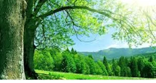 جواد-310x165 احاديث معصومين عليهم السلام ادعيه و اذكار دستورالعمل و نسخه مجرب دعا دعا و ختم مجرب دعای حاجت روایی دعای شفای بیماری 